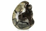 Septarian Dragon Egg Geode - Sparkly Black Crystals #329497-1